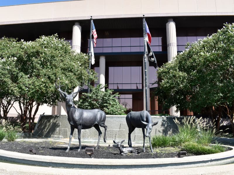 Majestic Freedom in Downtown Bryan, Texas